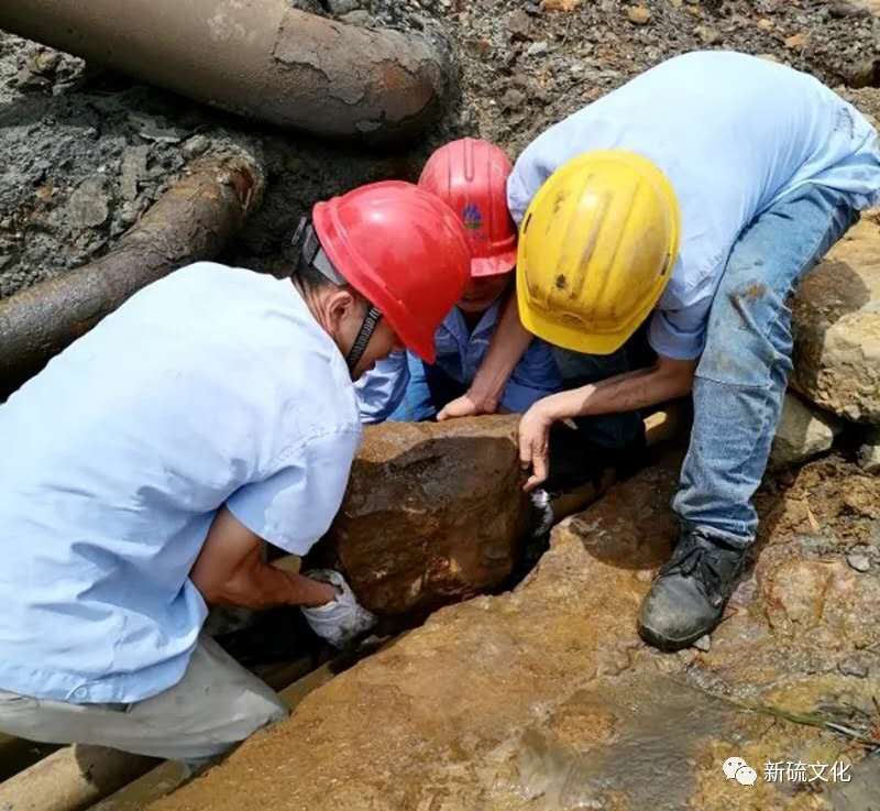 J9集团|国际站官网